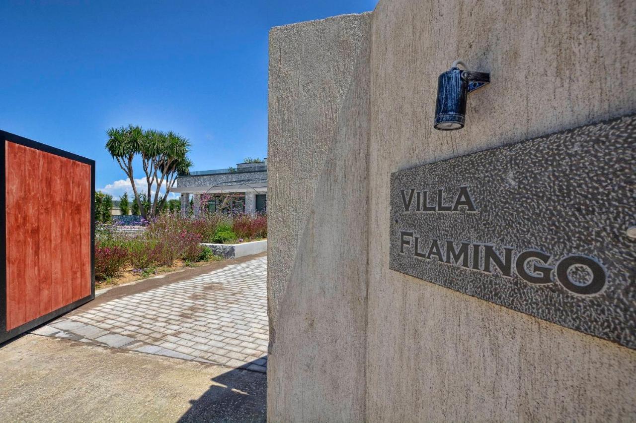 Villa Flamingo - 4 Bedrooms - Private Pool - Next To Renowned Issos Beach & Lake Korission Línia Buitenkant foto